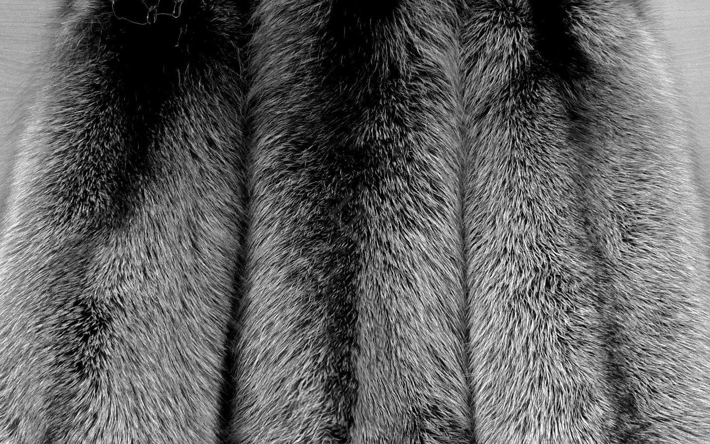 Fox fur